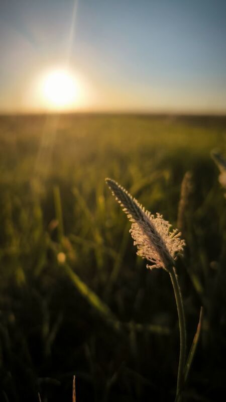 Закат фото превью