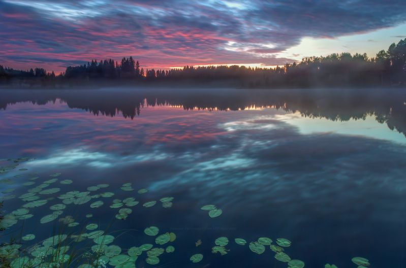 луга, ленобласть, пейзаж, рассвет, туман,  landscape, nature, природа, foggy, forest, болото, белая ночь, ленинградская область Кисельные берега фото превью