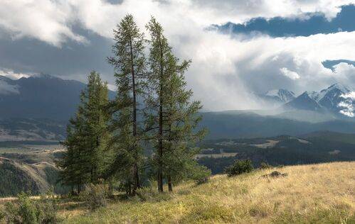 Снеговая туча