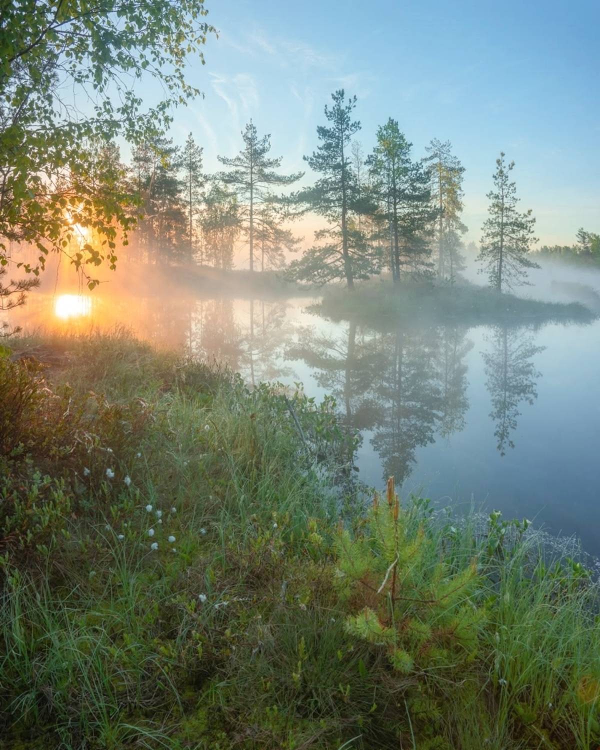 , Петр Косых