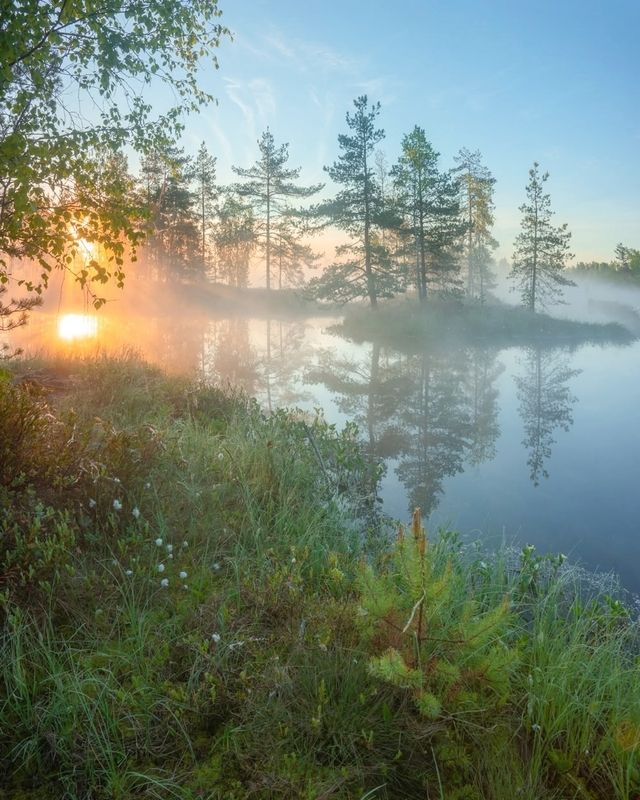 Солнце и туман июня фото превью