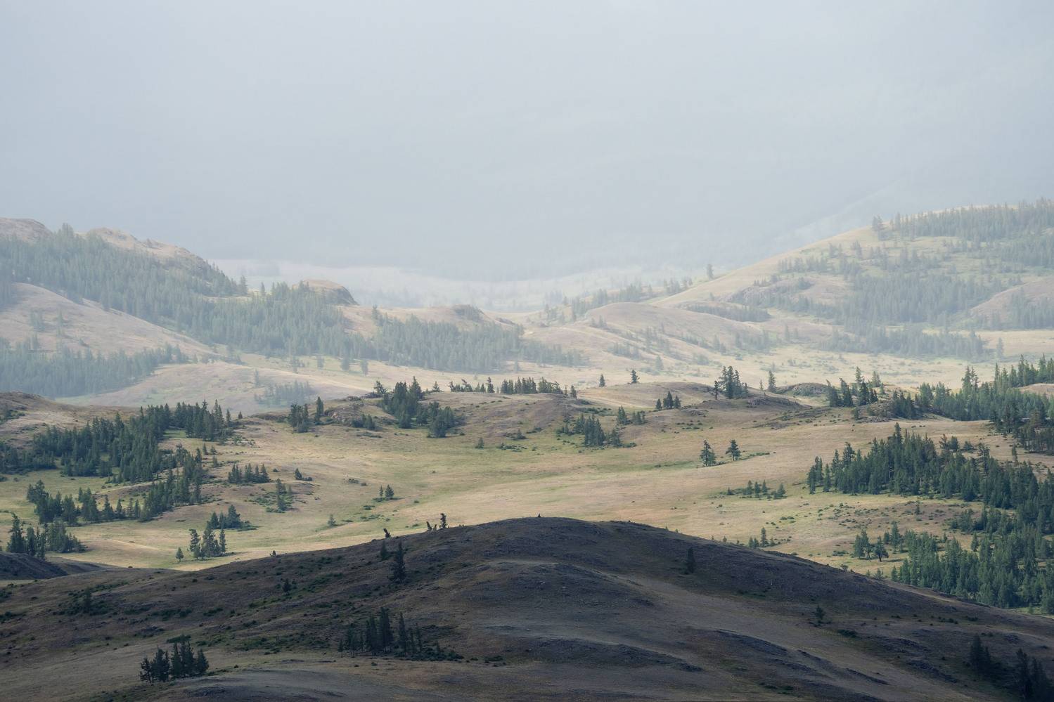 , Важенин Евгений