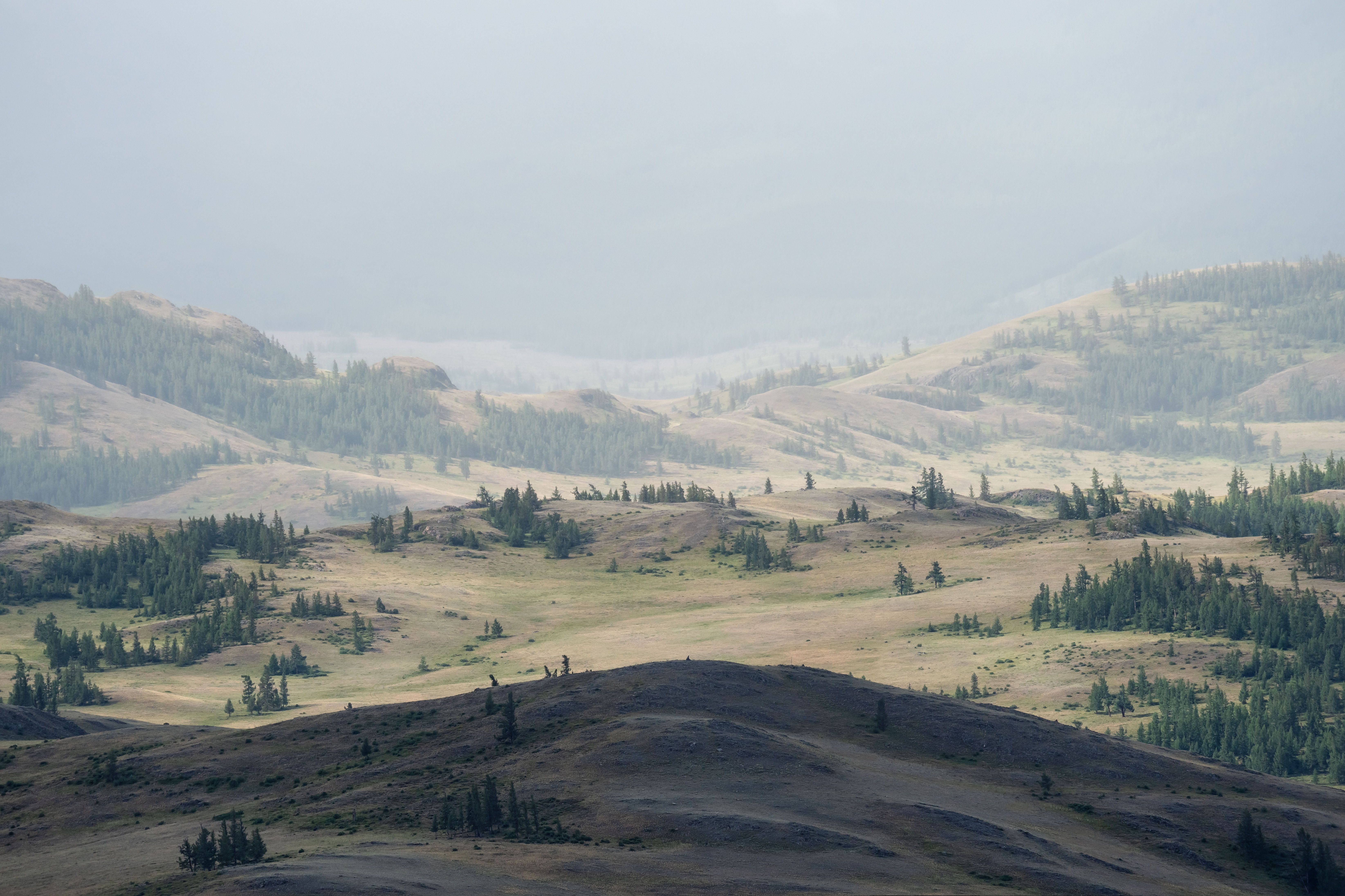 Курайские этюды… Kurai etudes... фото превью