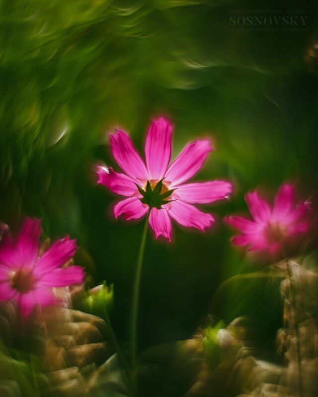 фото превью