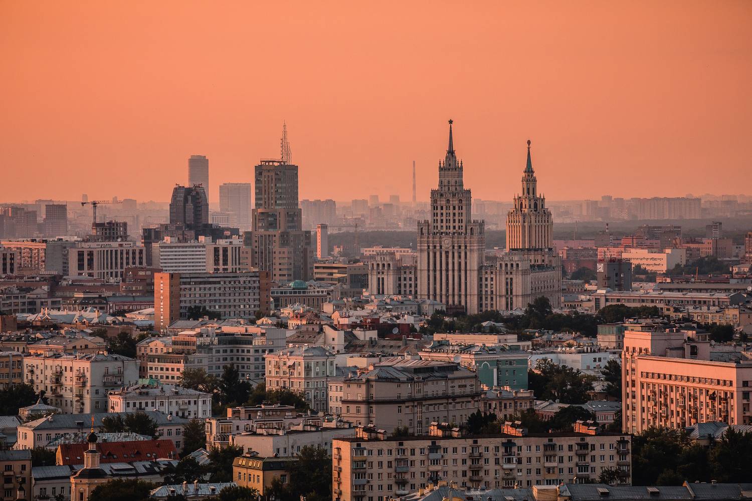 , Трепольский Дмитрий