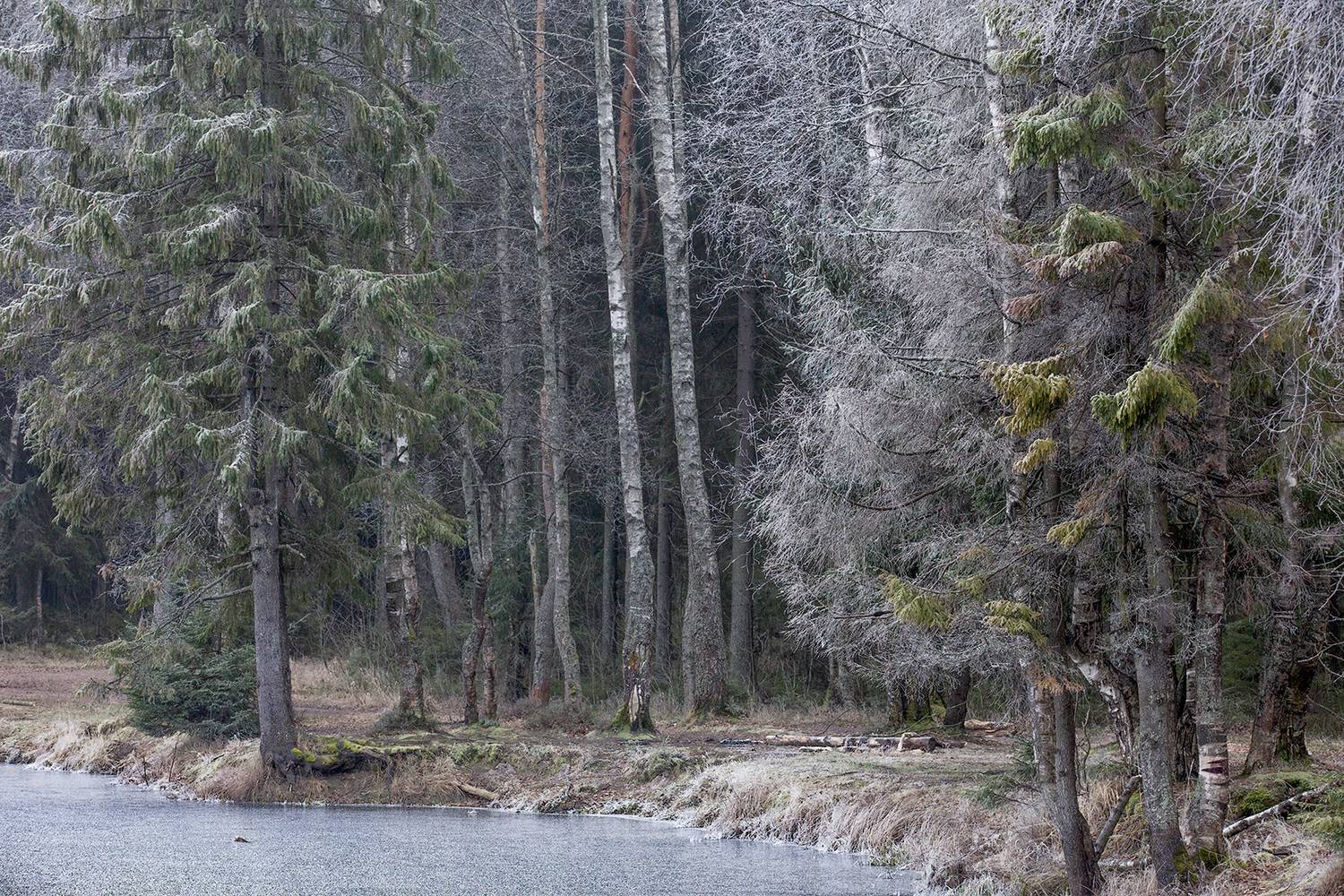 ,  александр михайлов