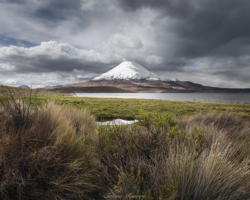 Пейзажи Альтиплано Чили фото превью