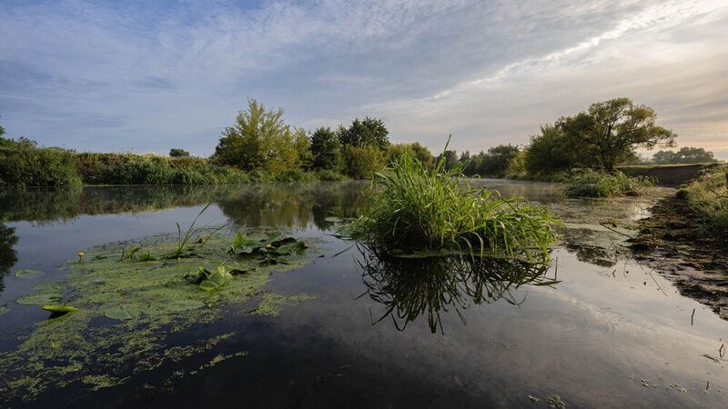 Утро на реке фото превью