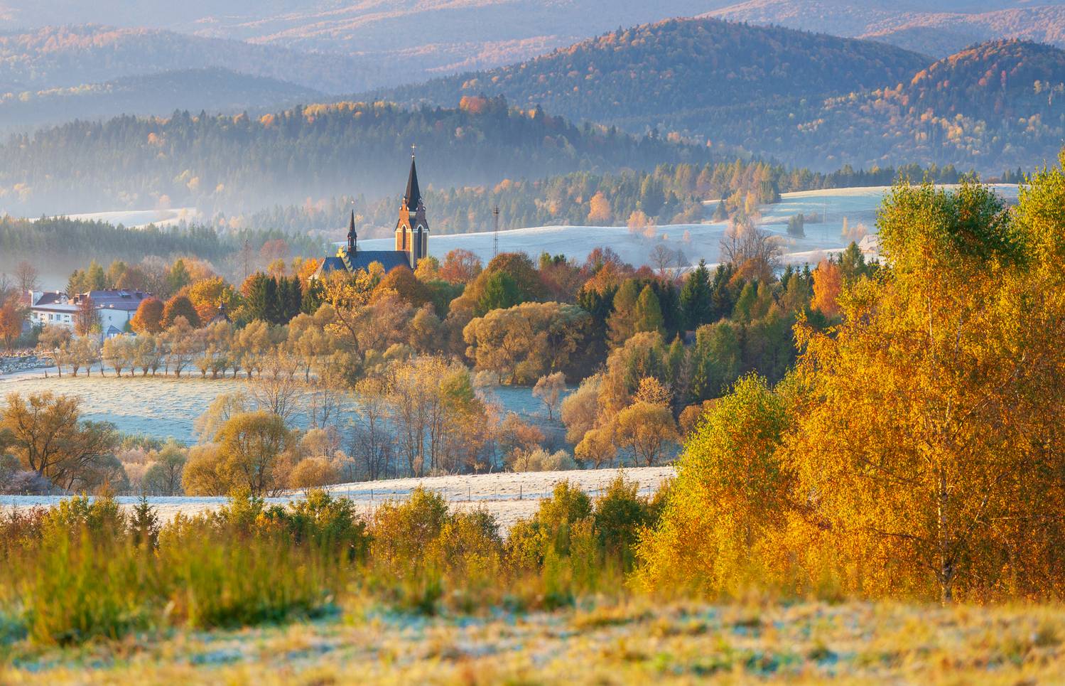 ,  Mirosław Pruchnicki