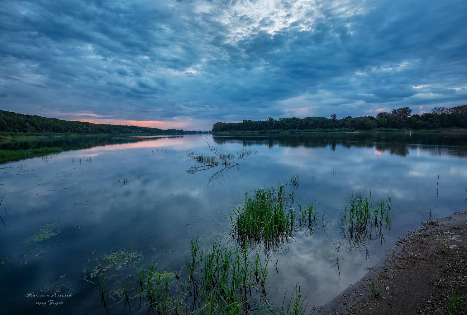 , Никитин Алексей