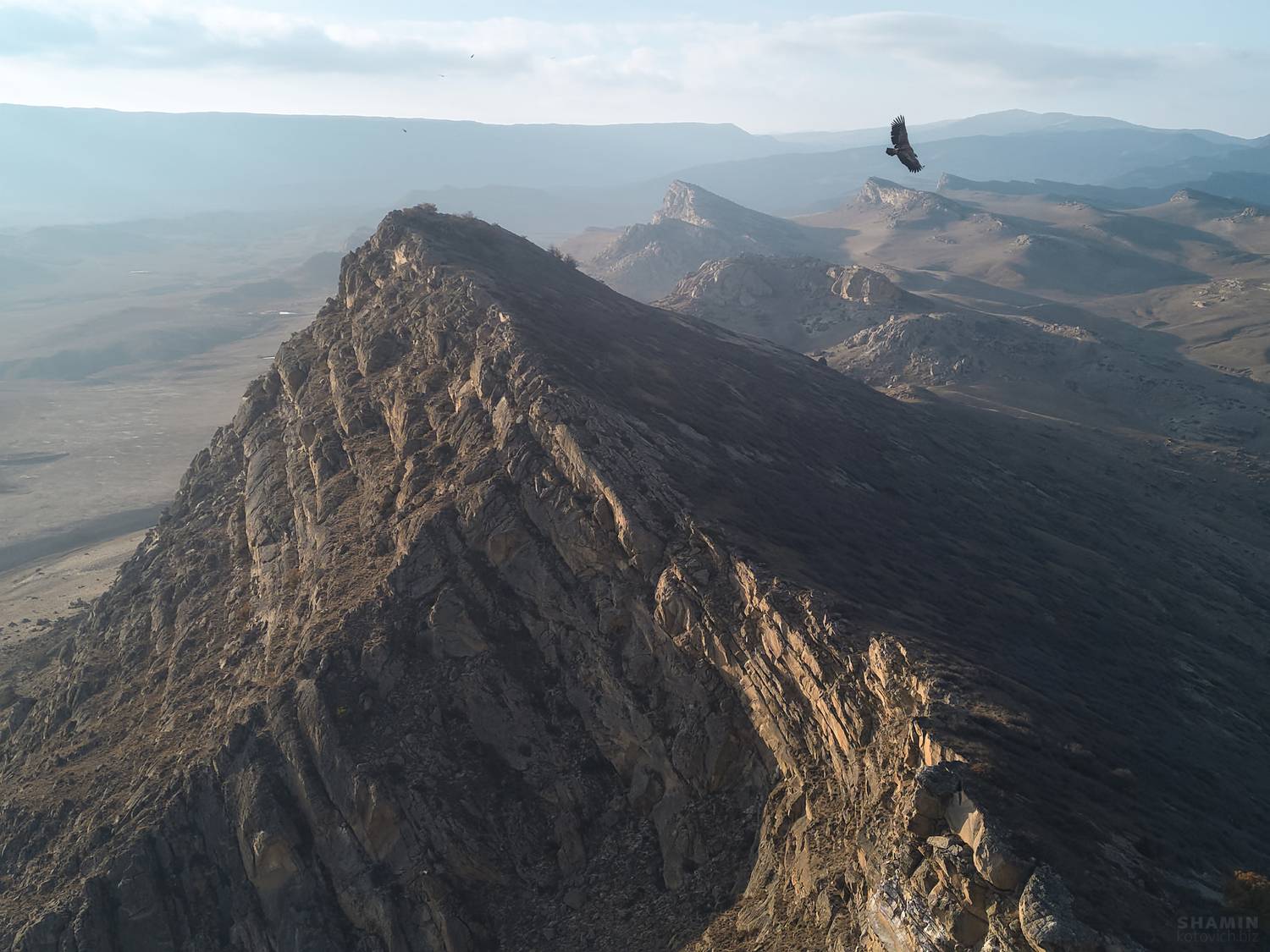 , Константин Шамин