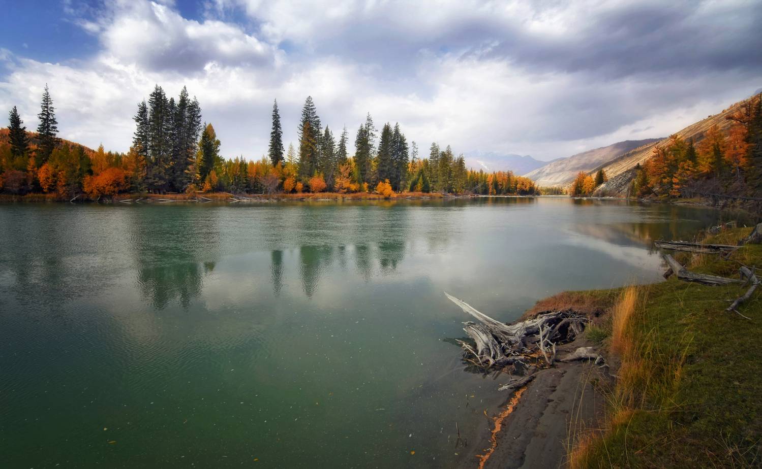 горный алтай, осень, река аргут, утро, Lora Pavlova
