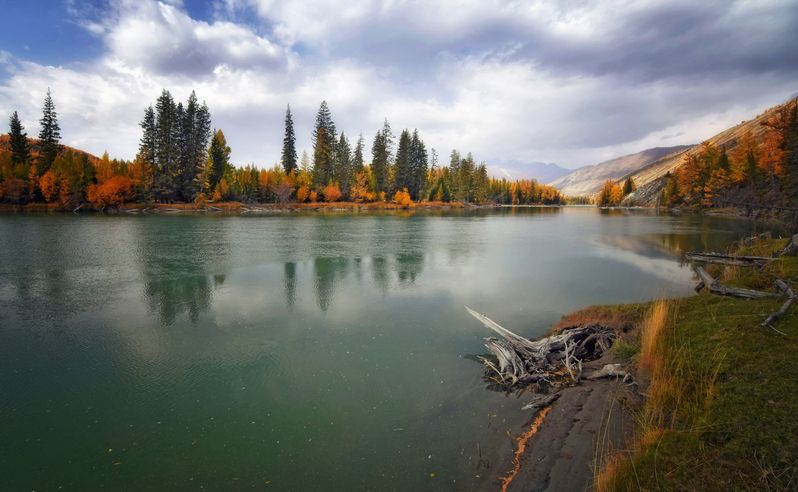 горный алтай, осень, река аргут, утро Минуты тишины... фото превью