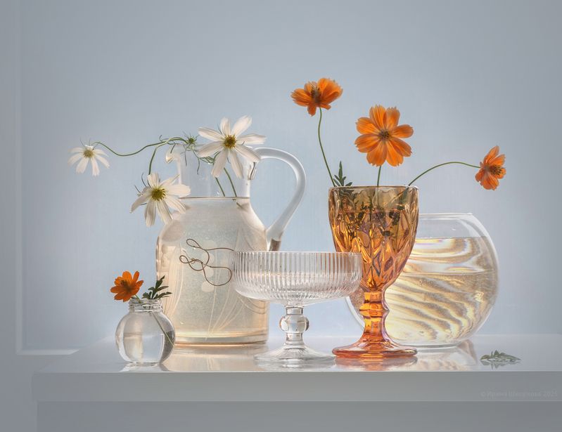 Космея фото превью