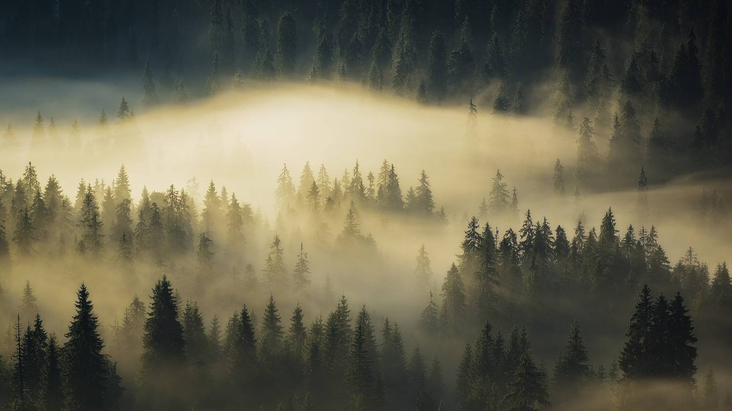 , Stefan Chirobocea