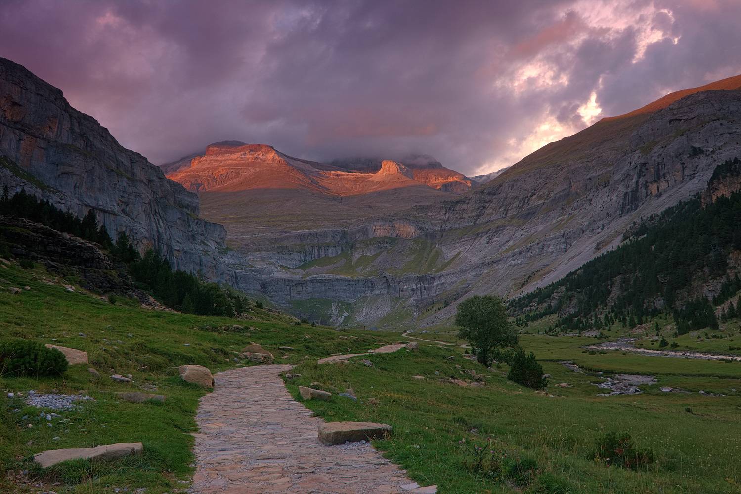 , Wojciech Tarnowski