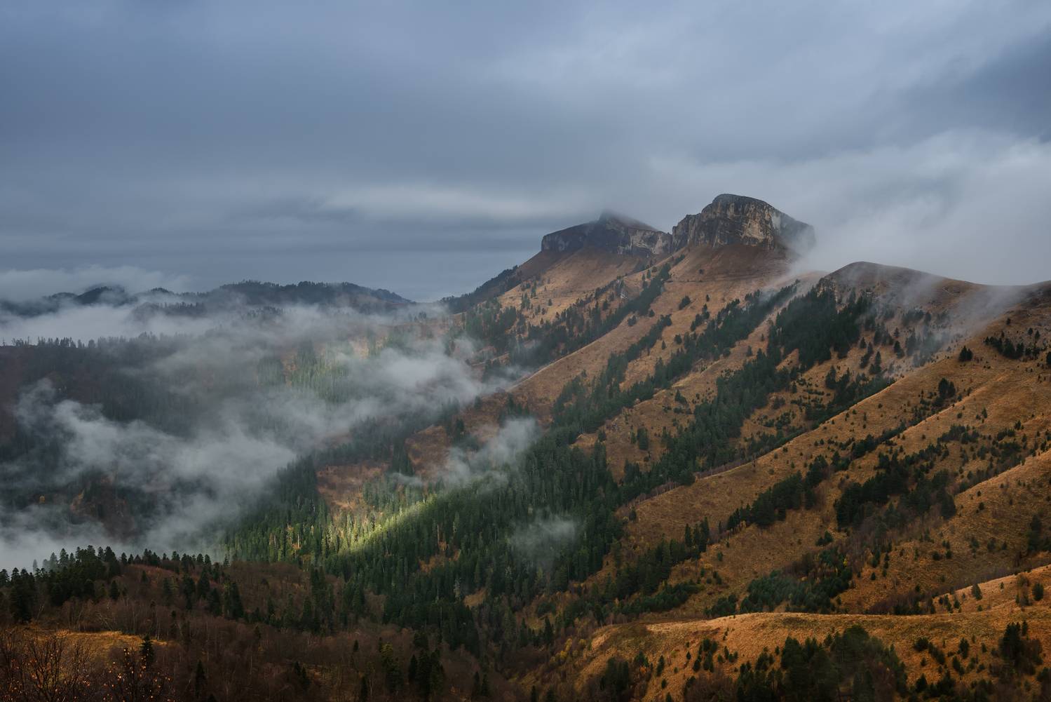 , Евдокимов Максим
