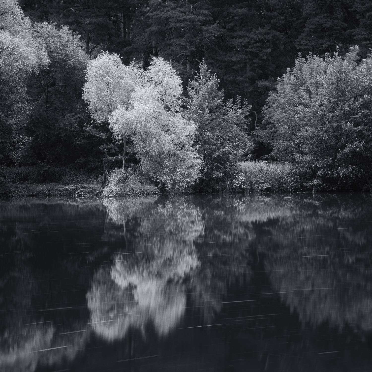 озеро, отражения, лес, Валерий Вождаев