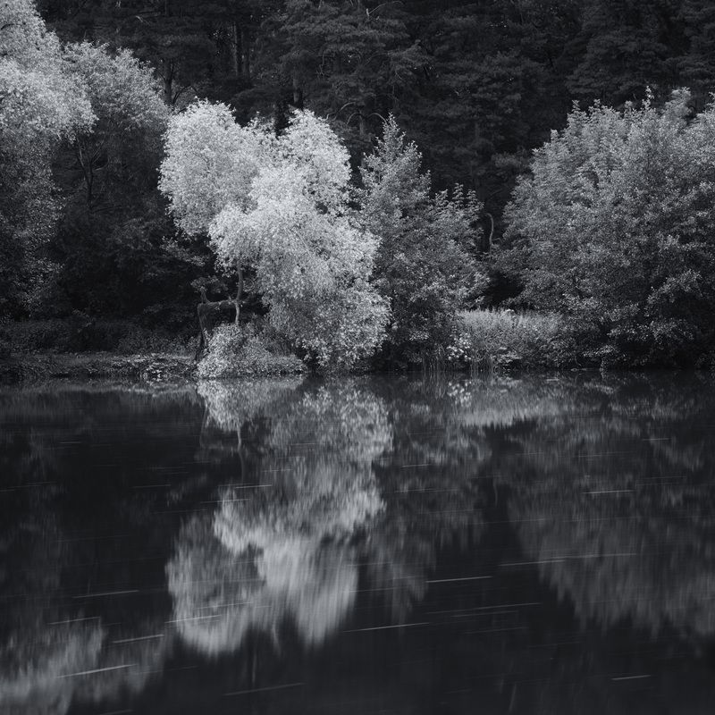 На берегу озера фото превью