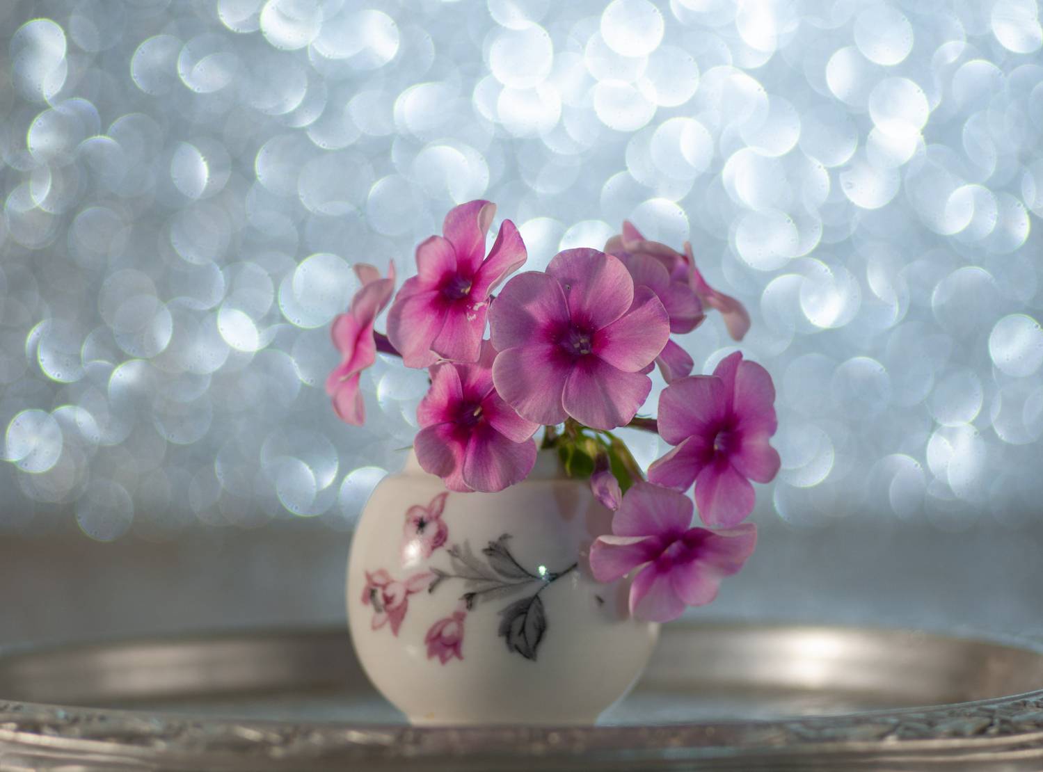 , Елена Павлюк