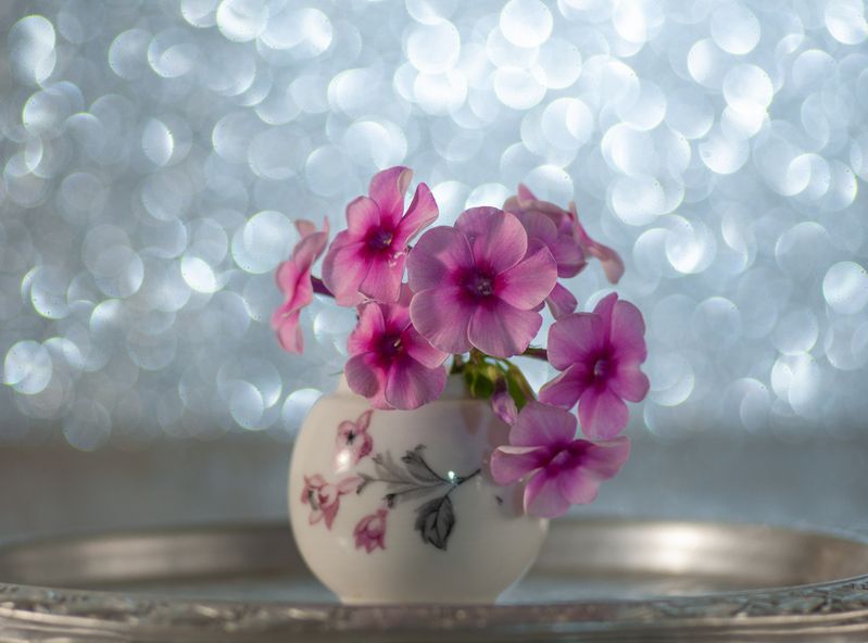 ***** фото превью