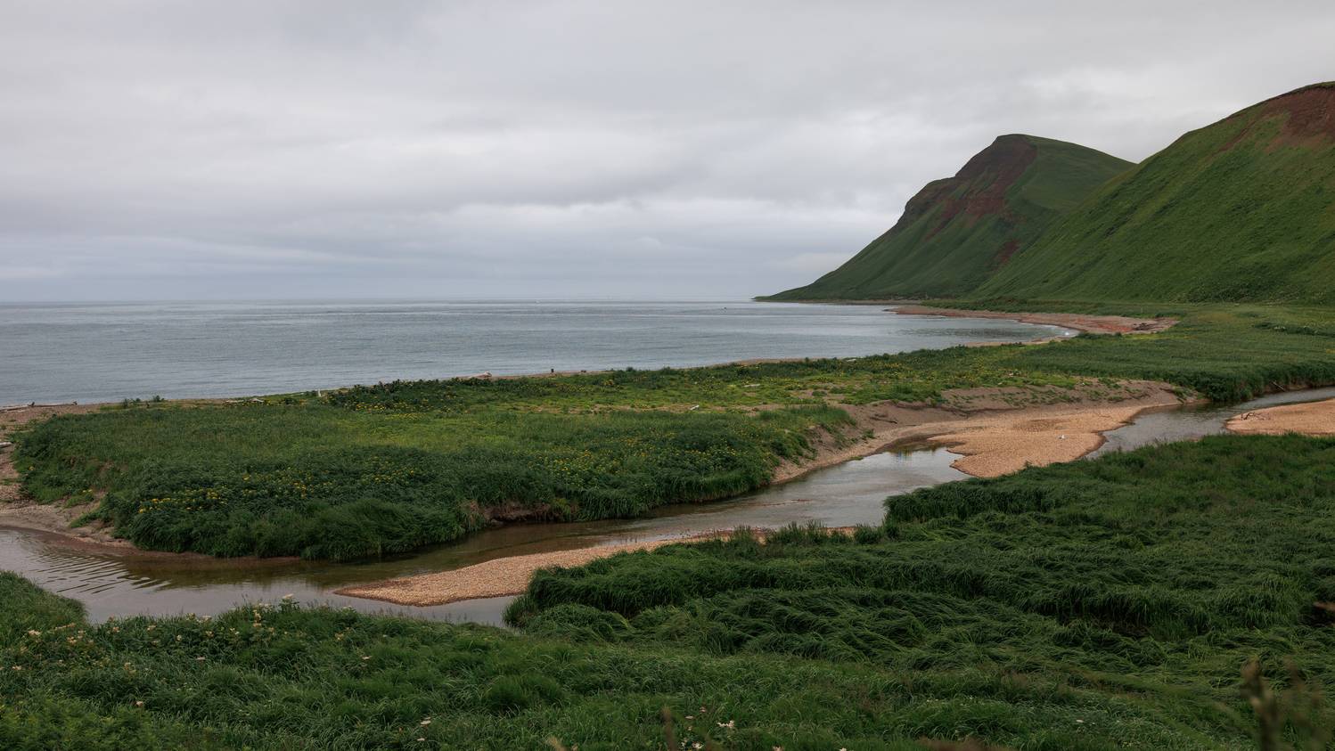 буян, бухта, командоры, 2025, лето, Vladimir goiiiguk