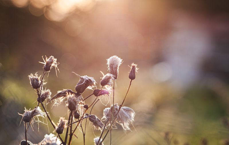 лето Торбеево Кончается лето... фото превью