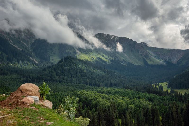 киргизия, горы тянь-шань, тяньшанские ели, облака, природа, пейзаж Тянь-Шань фото превью