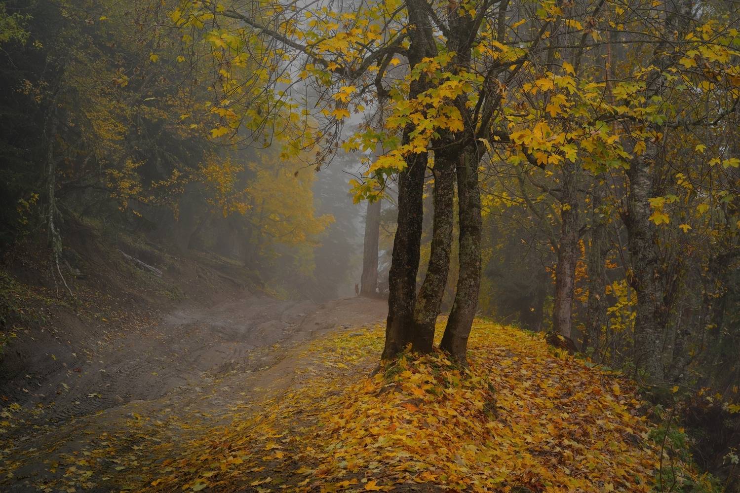 горы осень архыз, Александр Жарников