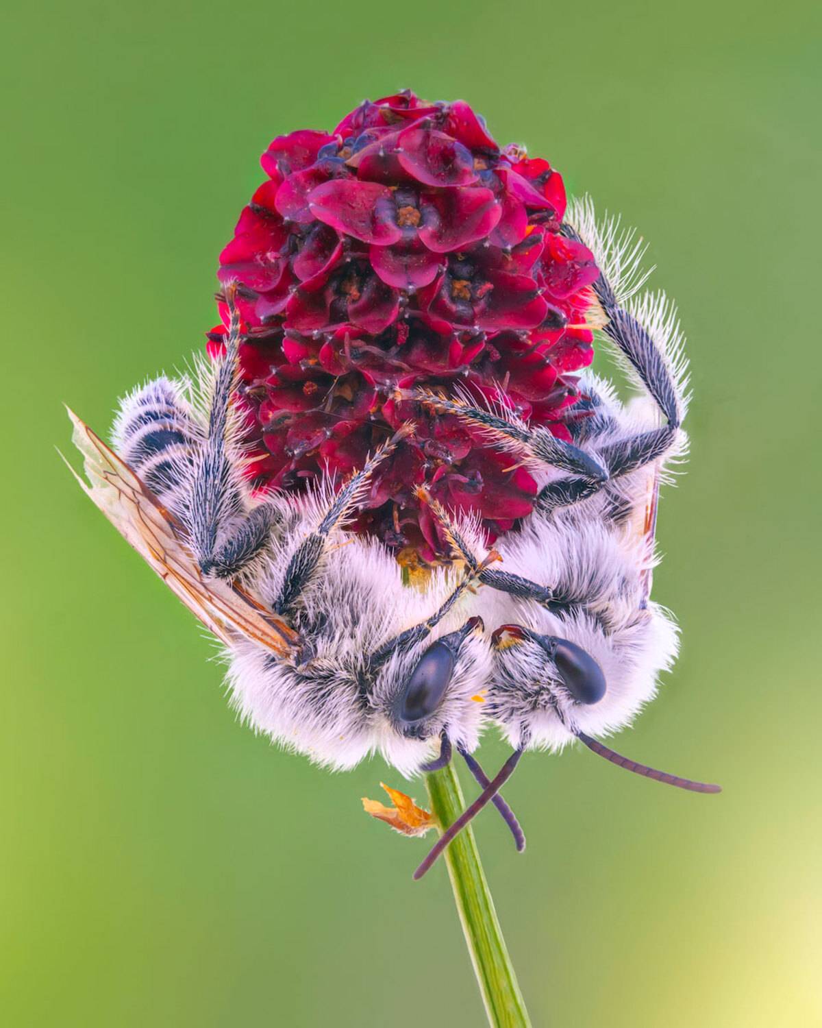 , Сергей Брагин