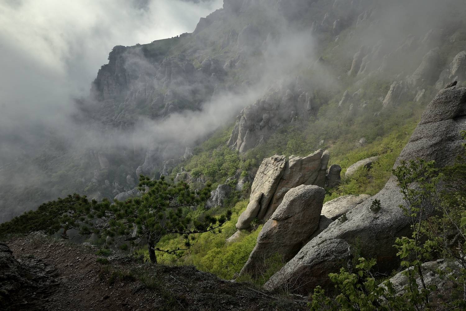 крым, горы, демерджи, туман, Алексей Никонов