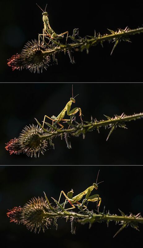 Баланс фото превью