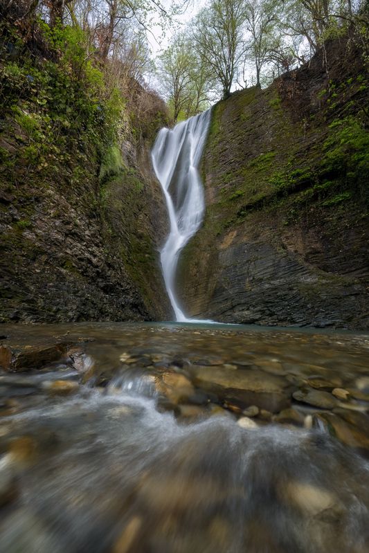 Изящный фото превью