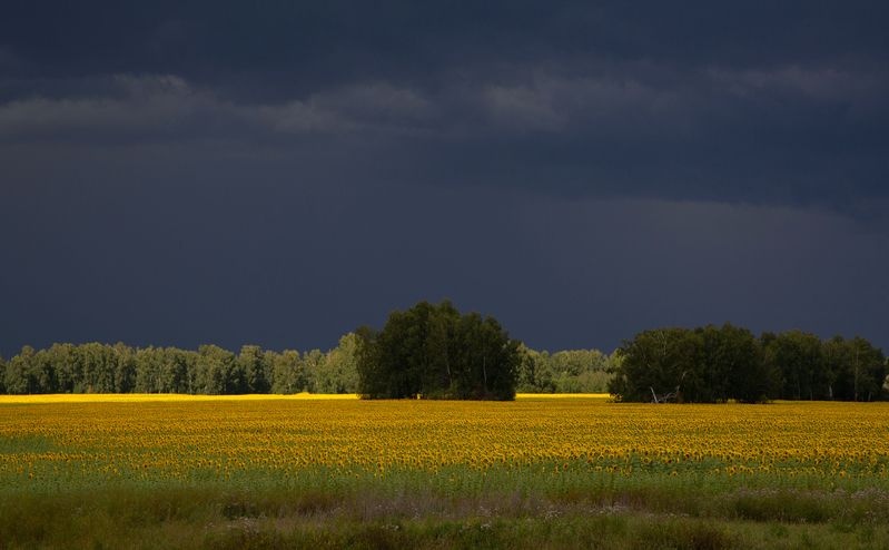 *** фото превью