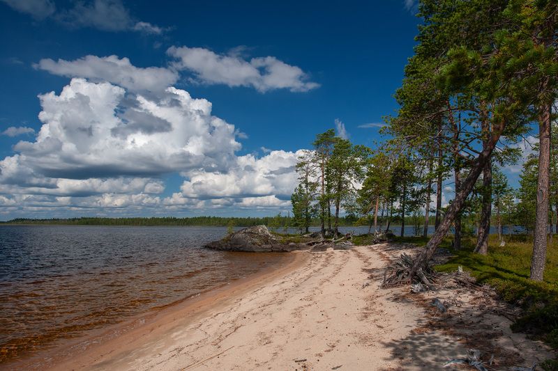 карелия, озеро кереть Летний день фото превью
