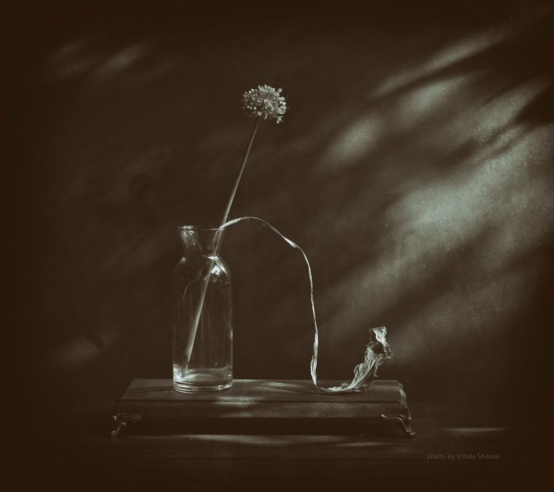 Тени, силуэты.. фото превью