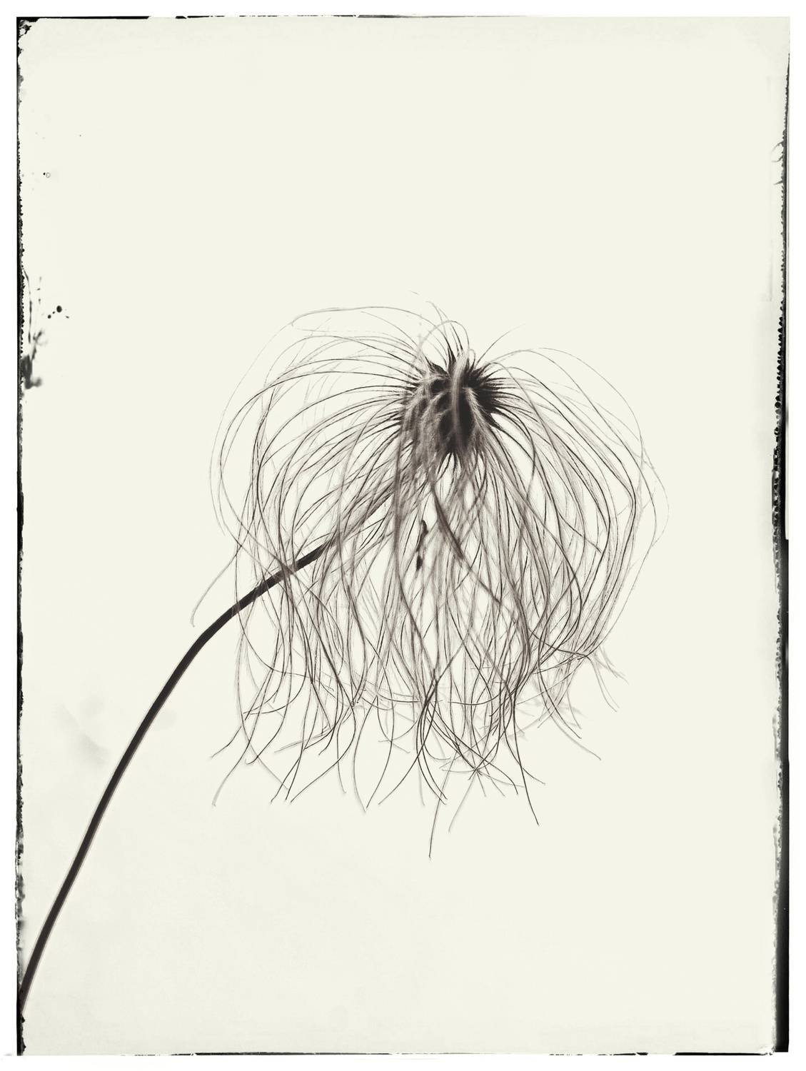 , Михаил Кабанов