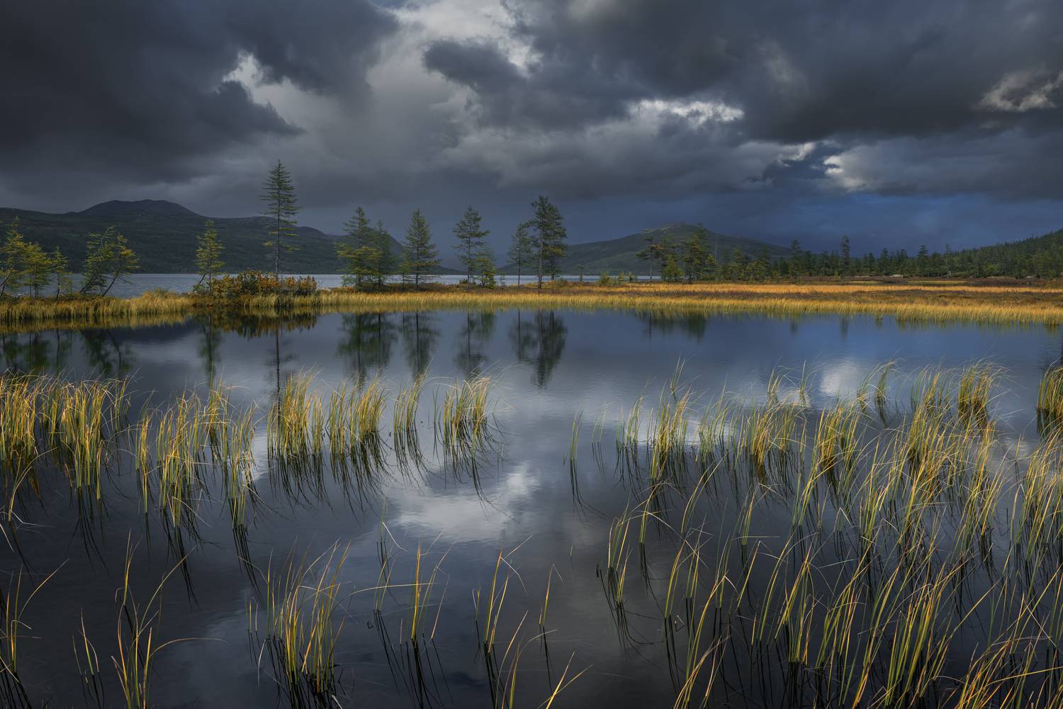 озеро джека лондона, Евдокимов Максим