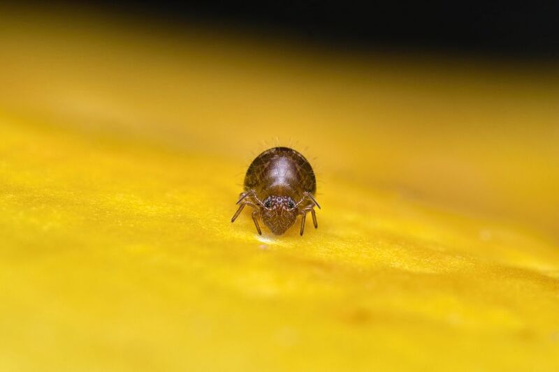 Lonely alone in the midst of loneliness фото превью