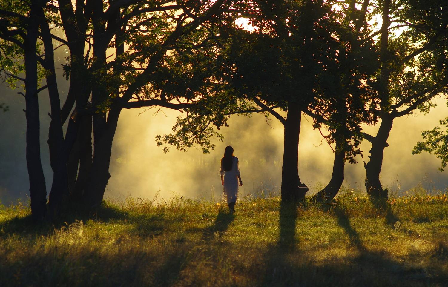 , Шляга Сергей