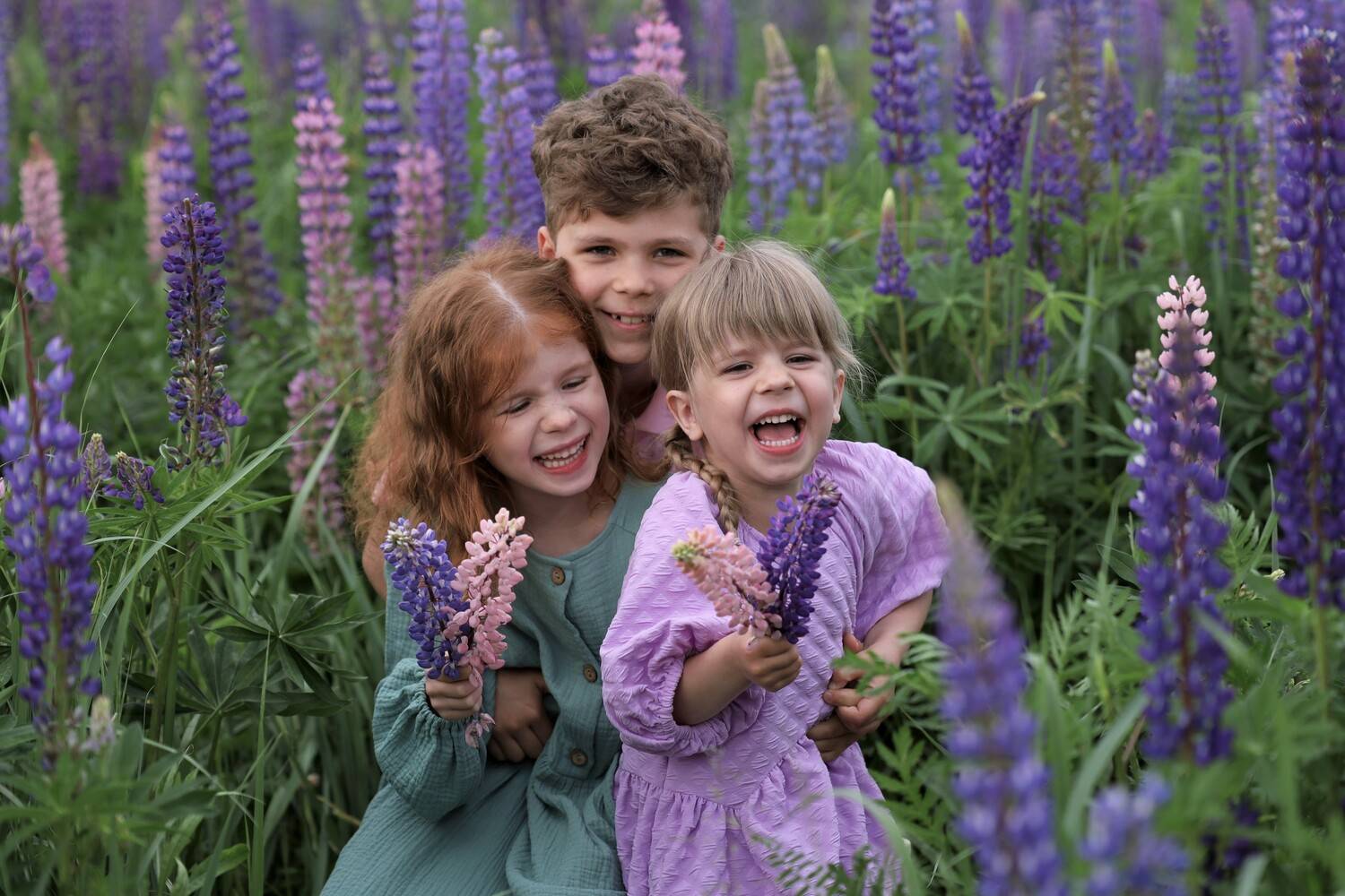 Дети, смех, люпины, лето, июль, сестры, брат, Герцен Наталья