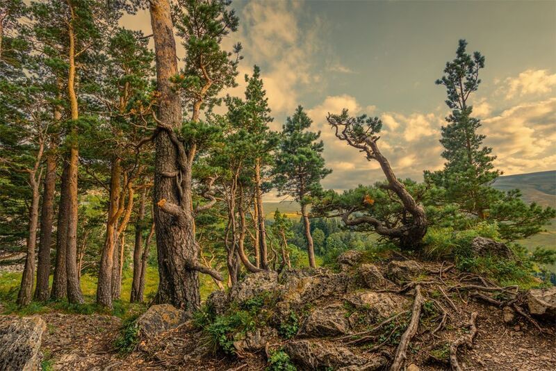 *** фото превью