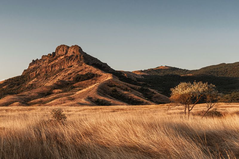 Крым, Россия, Лето, Пейзаж Крымская саванна фото превью