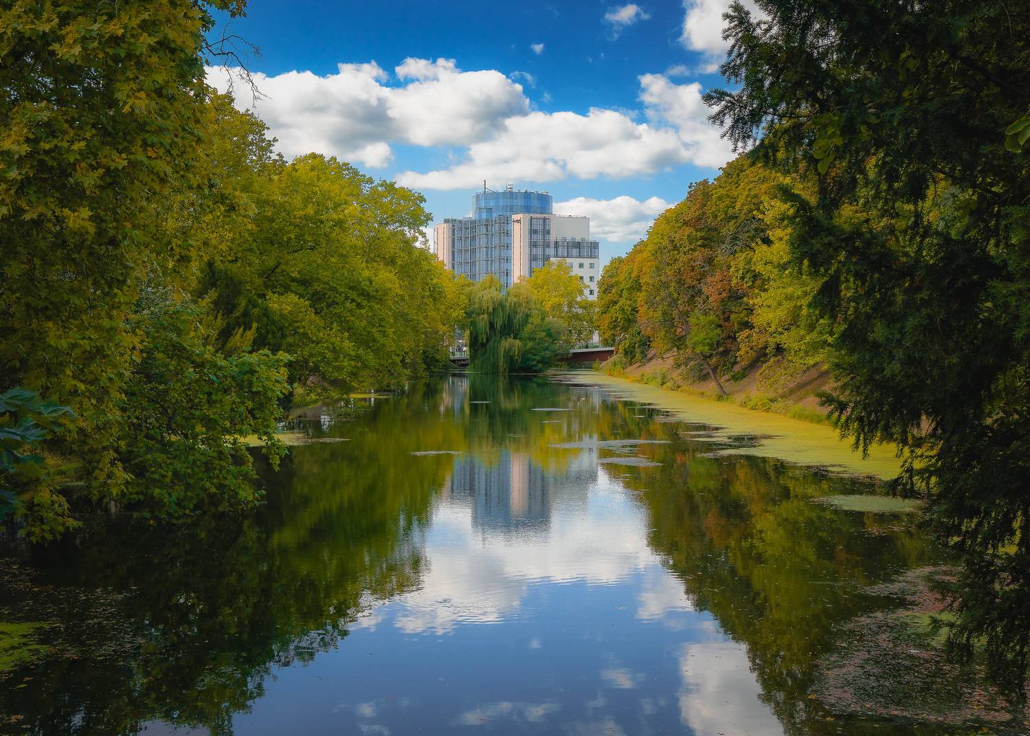 , Denis Cristian BURMELEAC