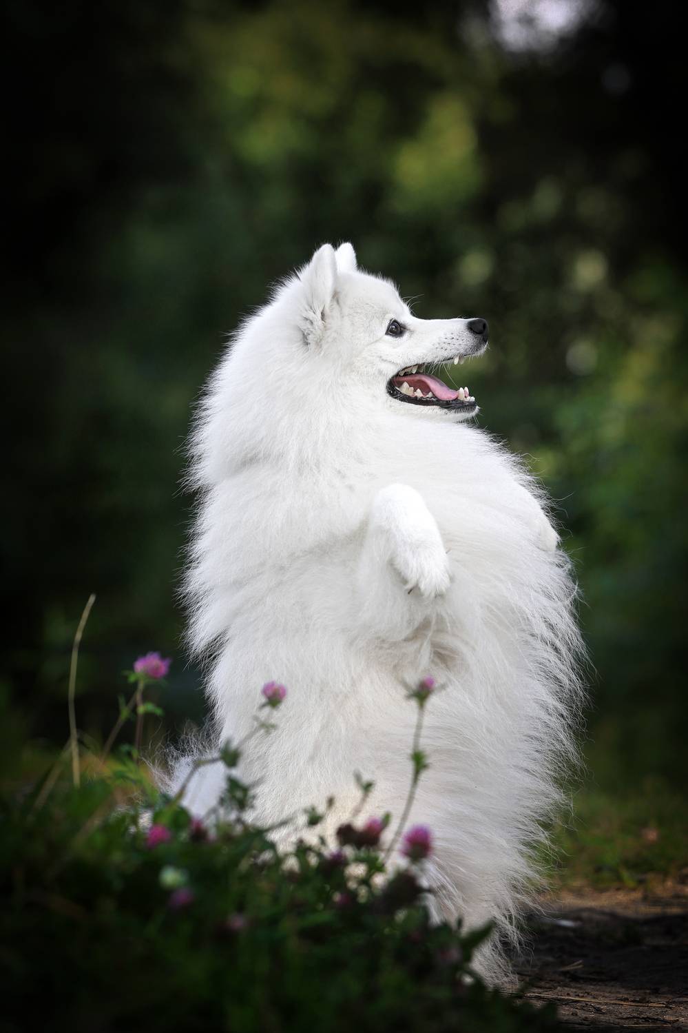 , Андрей Ершов