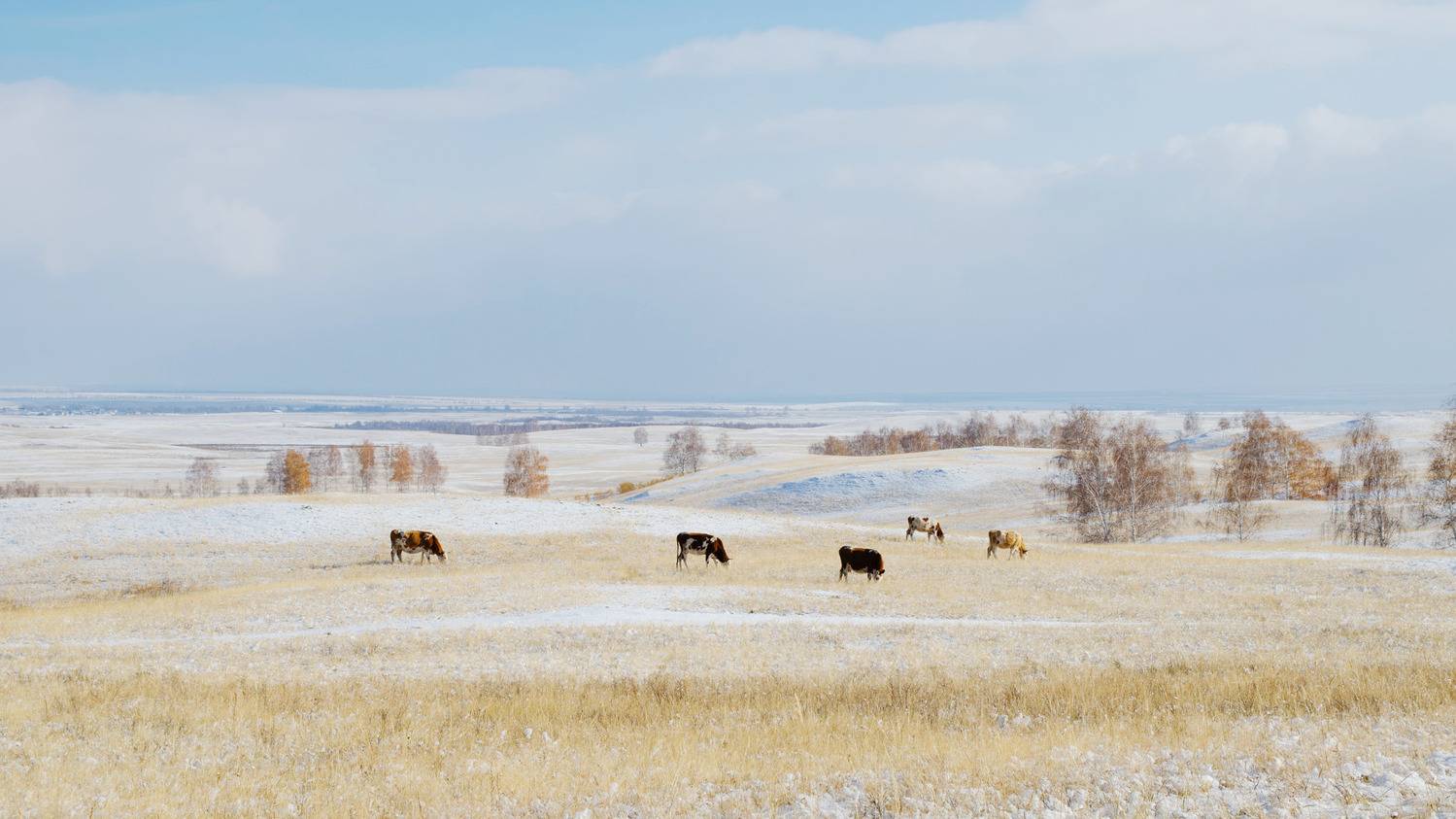 , Шустиков Дмитрий