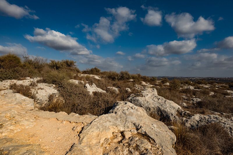Samaria-Shomron фото превью