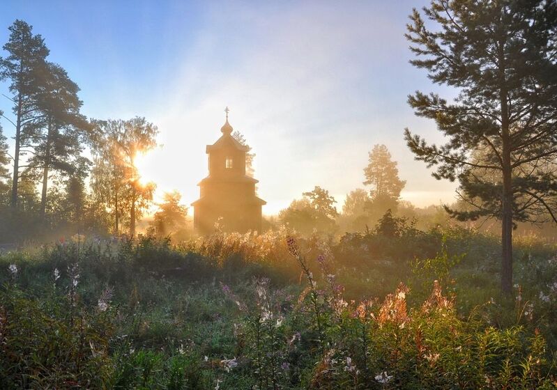 Утренний свет. фото превью