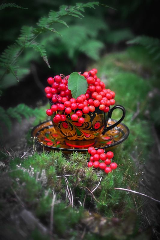 Витамины фото превью