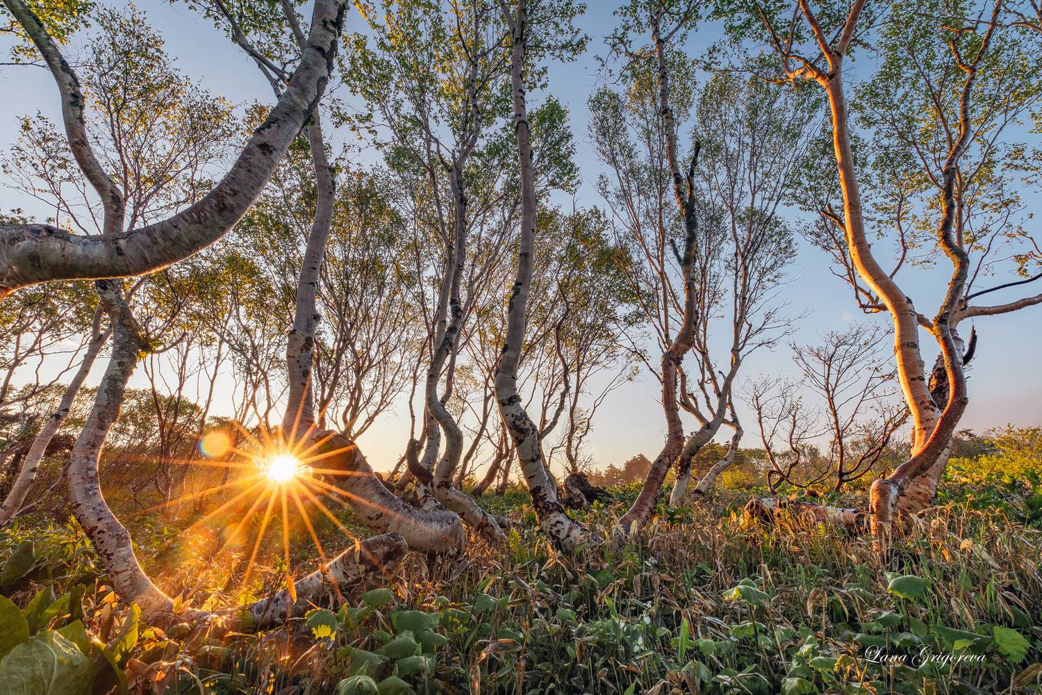 #фототур #пейзаж #россия #путешествия #photogeographic #курилы #кунашир, Григорьева Лана